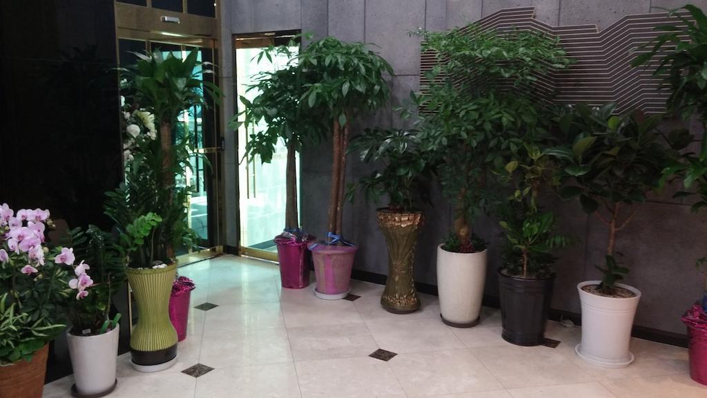 Coop City Hotel Oryu Station Seoul Exteriör bild
